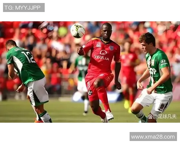 阿德莱德与悉尼FC精彩对决比分直播全程跟踪分析